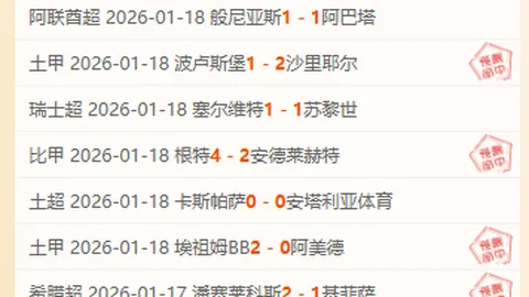 杰拉德·索尔·塞斯接任利兹主帅，維拉离队后成为焦点人物