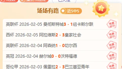 墨尔本胜利主场对决：能否终结连败魔咒，重振雄风？